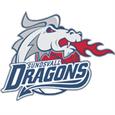 Dragons