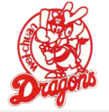 WEI CHUAN DRAGONS
