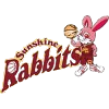 Toyota Rabbits (W)
