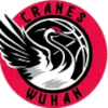 Wuhan Shengfan (W)