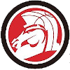 Broncos