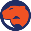 Sandringham Sabres W