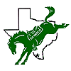 Texas-Pan American