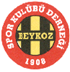 TTNet Beykoz