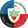 CSS